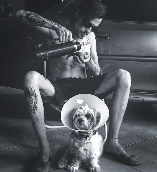 [NL]Mate wird aufgegossen. 