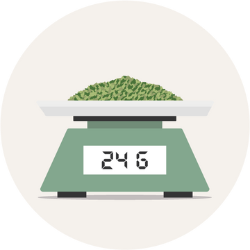 Dosierung - Wie viel Mate brauche ich?