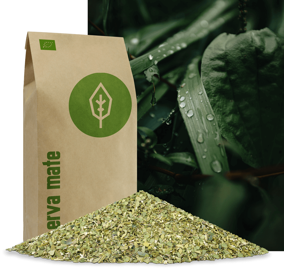 [NL]Erva Mate Tee von caámate