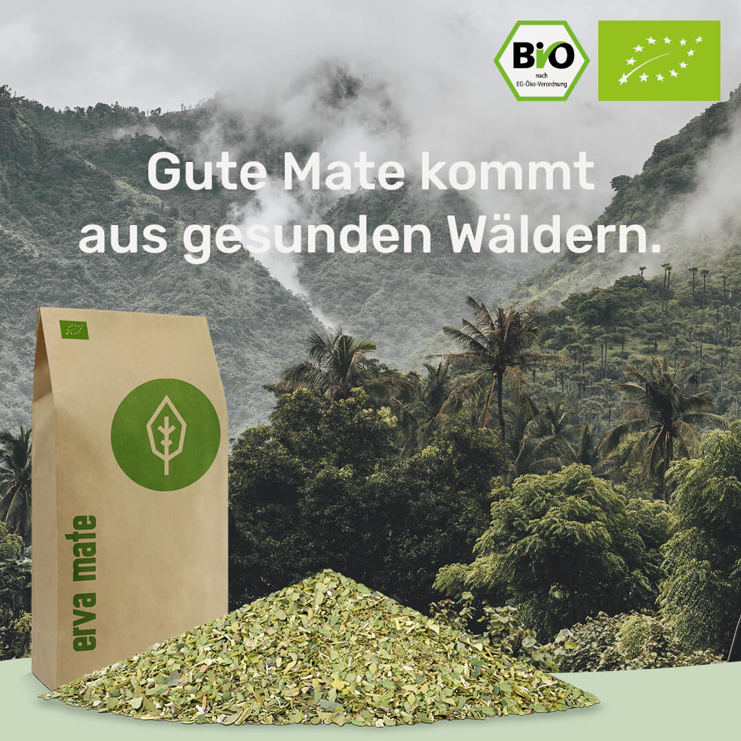 [NL]gesunde Mate kommt aus gesunden Waeldern caamate erva mate tee bio