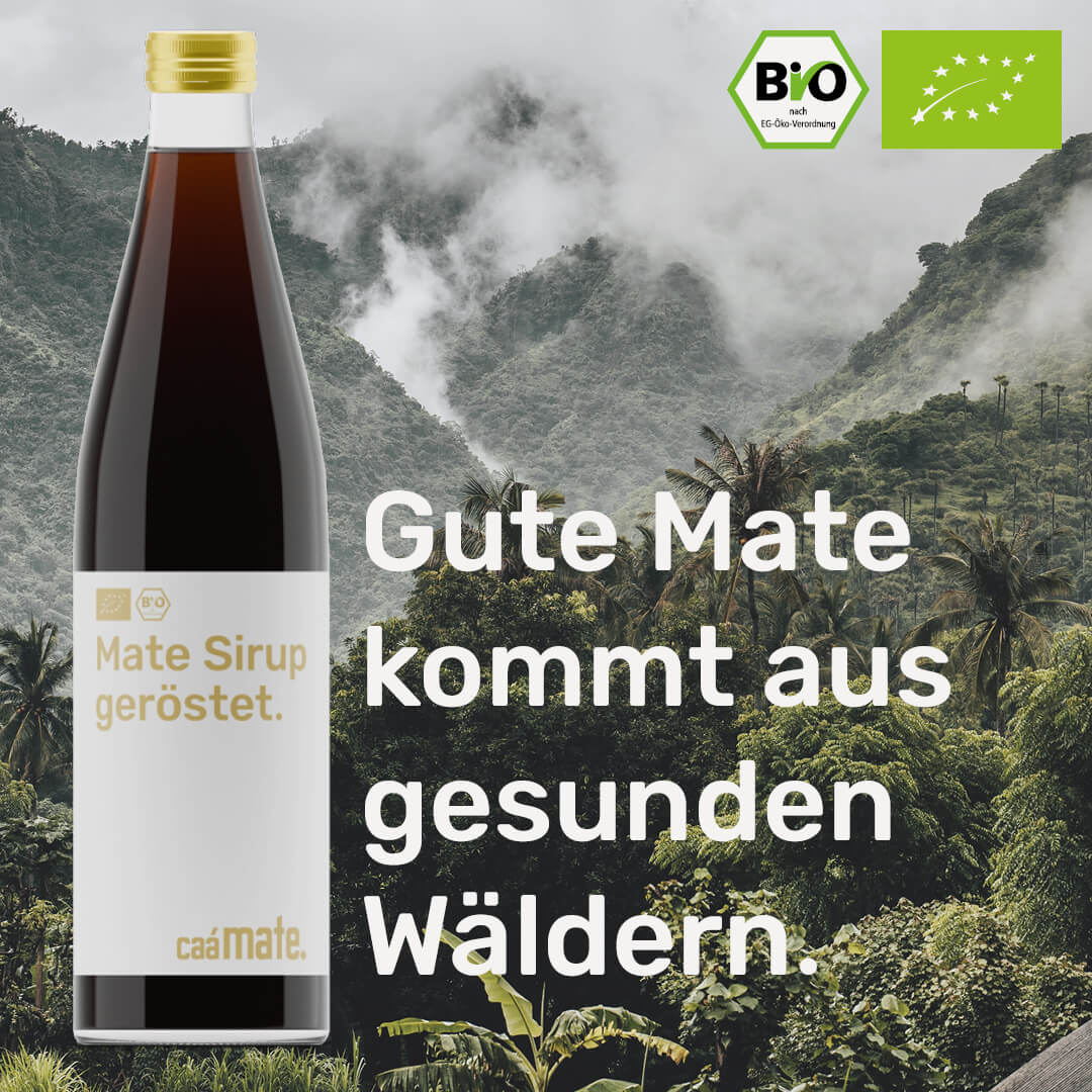Bio Mate Sirup Geröstet – gesunde Mate aus Glasflasche