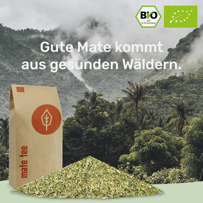 [NL]gesunde Mate kommt aus gesunden Waeldern caamate mate tee grün bio