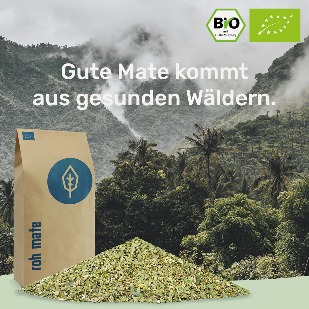 [NL]gesunde Mate kommt aus gesunden Waeldern caamate roh mate tee bio caámate