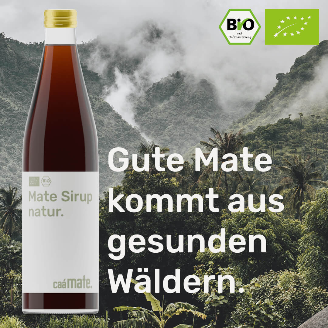 Bio Mate Sirup Natur – gesunde Mate aus Glasflasche