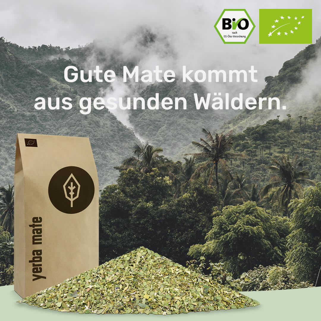[NL]gesunde Mate kommt aus gesunden Waeldern caamate yerba mate tee bio