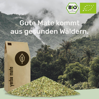[NL]gesunde Mate kommt aus gesunden Waeldern caamate yerba mate tee bio