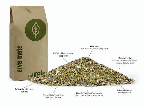 Wirkung Mate Tee