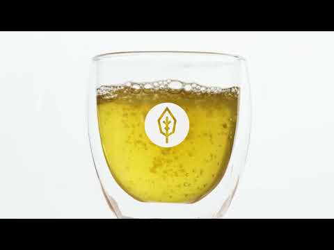 caámate Mate Tee perfekt zubereiten in der French Press